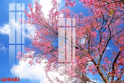 File gốc File gốc in tranh tổng hợp Q19481 (PSD/TIFF) độ phân giải cao