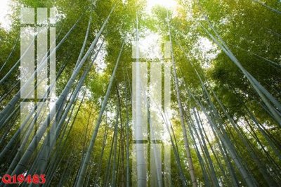 File ảnh File gốc in tranh tổng hợp Q19483 (gốc) in standee