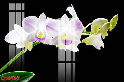 File gốc File gốc in tranh tổng hợp Q19597 (chuẩn màu) cho in offset