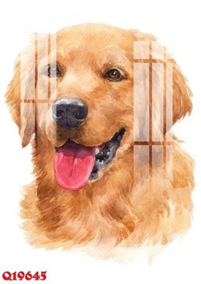 Tải file File gốc in tranh tổng hợp Q19645 (ảnh gốc) in tranh kính