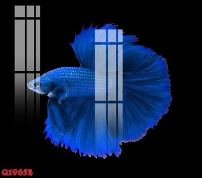 File gốc File gốc in tranh tổng hợp Q19652 (dành cho trang trí nội thất)