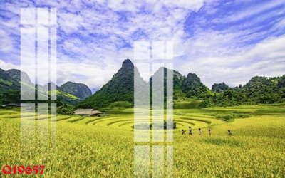 File tranh gốc File gốc in tranh tổng hợp Q19657 (bản quyền) Filetranh.com