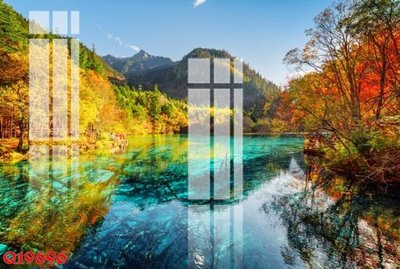 File in trần File gốc in tranh tổng hợp Q19696 (file gốc) xuyên sáng