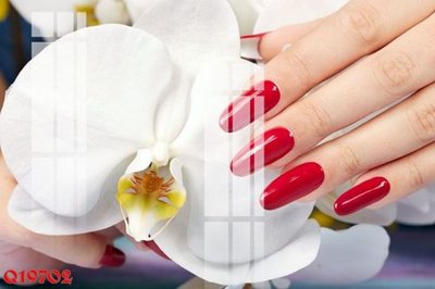 Chi tiết file ảnh File gốc in tranh tổng hợp Q19702 sắc nét