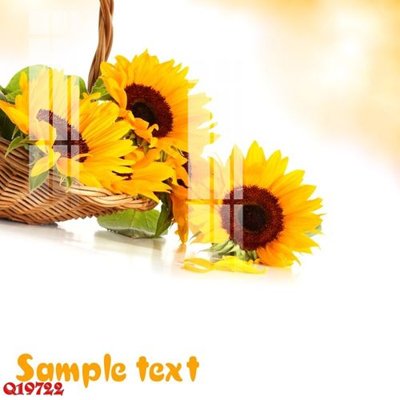 File in ấn cao cấp File gốc in tranh tổng hợp Q19722 (file gốc)