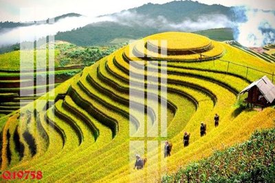 File tranh File gốc in tranh tổng hợp Q19758 (ảnh gốc) in trần xuyên sáng