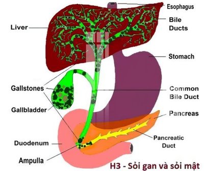 Tải về file gốc File gốc in tranh tổng hợp Q1993 (dùng cho in quảng cáo)