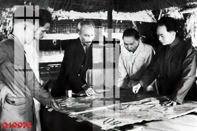 File tranh File gốc in tranh tổng hợp Q19972 (gốc) in film