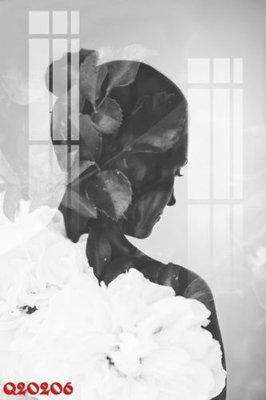 Ảnh gốc File gốc in tranh tổng hợp Q20206 (nét căng) in mica