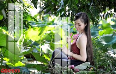 Download file File gốc in tranh tổng hợp Q20253 (gốc) in mica cao cấp