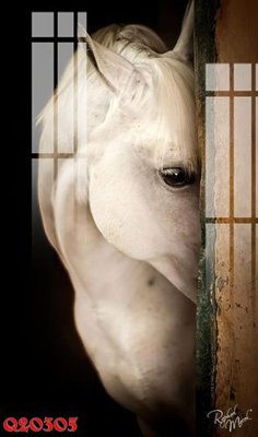 Tải file File gốc in tranh tổng hợp Q20305 (ảnh gốc) in gạch 3D