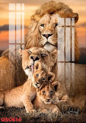 File tranh File gốc in tranh tổng hợp Q20834 (gốc) in film