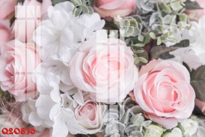 File gốc File gốc in tranh tổng hợp Q20836 (PNG) không nền chất lượng