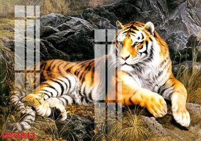 File tranh File gốc in tranh tổng hợp Q20843 (gốc) in trên kính