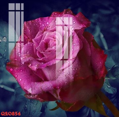 Tải file tranh gốc File gốc in tranh tổng hợp Q20854 chất lượng cao