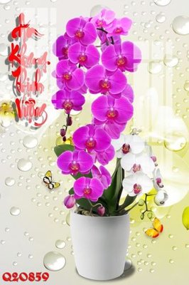 Download file gốc File gốc in tranh tổng hợp Q20859 (độ nét cao)