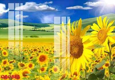 File gốc File gốc in tranh tổng hợp Q20883 (chuẩn màu) cho in offset