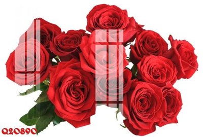 Ảnh mô tả file gốc in mica File gốc in tranh tổng hợp Q20890