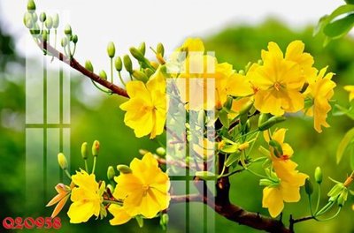 Tải file gốc File gốc in tranh tổng hợp Q20958 dùng cho in ấn