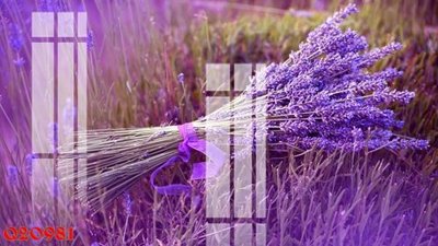 Tải file File gốc in tranh tổng hợp Q20981 (gốc) in trên mọi chất liệu