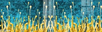 File in ấn File gốc in tranh tổng hợp Q2104 (bản gốc) từ file gốc