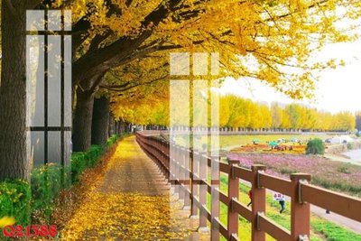 File tranh gốc in trần nhà File gốc in tranh tổng hợp Q21388 3D