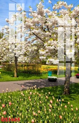 File gốc File gốc in tranh tổng hợp Q21465 (PNG) trong suốt (transparent)