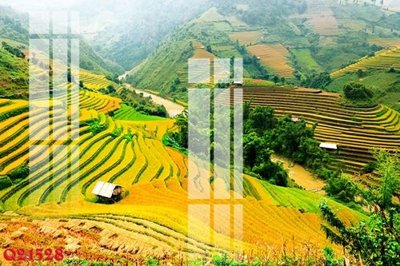 File gốc File gốc in tranh tổng hợp Q21528 (in ấn) màu sắc trung thực