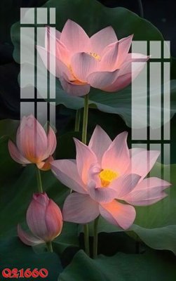 Tải file gốc File gốc in tranh tổng hợp Q21660 dùng cho in ấn