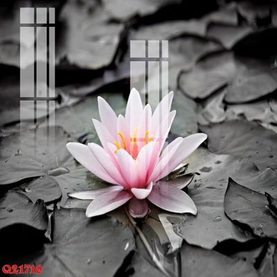 File tranh File gốc in tranh tổng hợp Q21716 (gốc) in trên kính