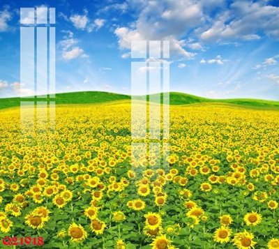 Chi tiết file ảnh File gốc in tranh tổng hợp Q21918 sắc nét