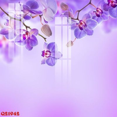 File in trần File gốc in tranh tổng hợp Q21942 (bản gốc) trời sao