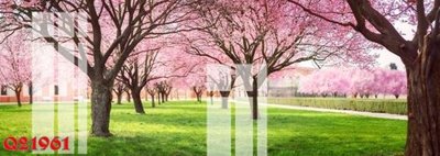 File tranh File gốc in tranh tổng hợp Q21961 (file gốc) chủ đề phong thủy