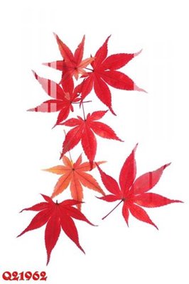 File gốc File gốc in tranh tổng hợp Q21962 (Filetranh.com) File gốc in tranh tổng hợp Q21962