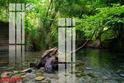 Download file gốc File gốc in tranh tổng hợp Q22019 (in lụa) tranh 3D