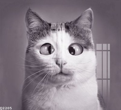 File gốc in ấn File gốc in tranh tổng hợp Q2205 (sẵn sàng tải về)