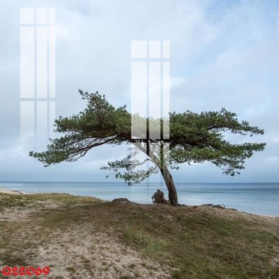 File tranh quảng cáo File gốc in tranh tổng hợp Q22069 (file gốc) chuyên nghiệp