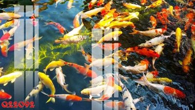 Tải file gốc File gốc in tranh tổng hợp Q22092 (để in lụa)