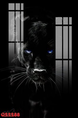 File tranh gốc in trần nhà File gốc in tranh tổng hợp Q22288 3D