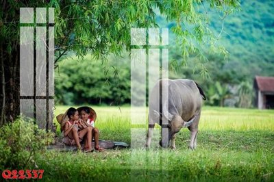 Tệp tin gốc File gốc in tranh tổng hợp Q22337 (chất lượng) File gốc in tranh tổng hợp Q22337