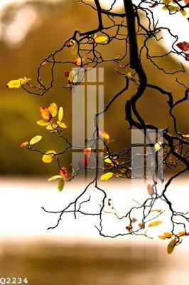 Tải file File gốc in tranh tổng hợp Q2234 (gốc) làm tranh trang trí