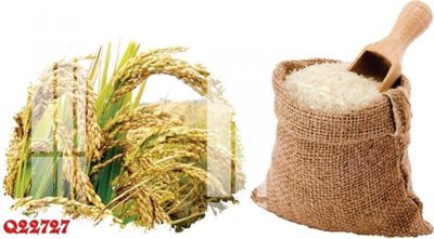 Tải file File gốc in tranh tổng hợp Q22727 (gốc) để in ấn ngay