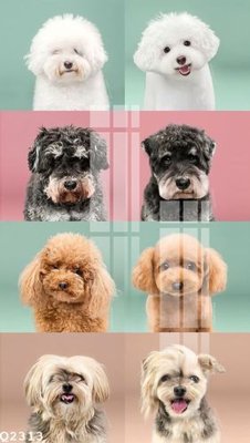 File ảnh File gốc in tranh tổng hợp Q2313 (gốc) in PP, decal