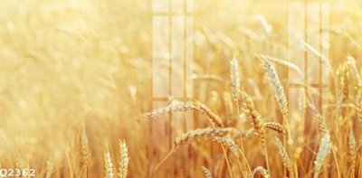 Tải file File gốc in tranh tổng hợp Q2362 (gốc) chủ đề tâm linh