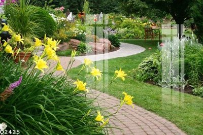 File tranh File gốc in tranh tổng hợp Q2425 (gốc) chủ đề trẻ em