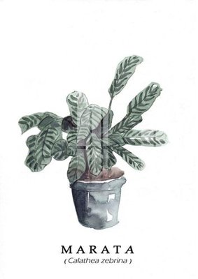 File PSD File gốc in tranh tổng hợp Q2427 (gốc) nhiều lớp (multi-layer)