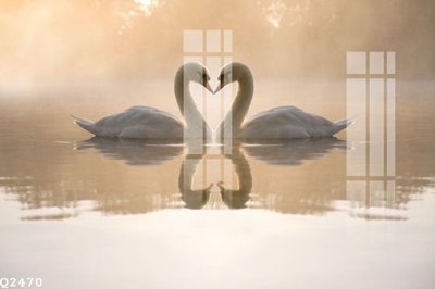 File gốc File gốc in tranh tổng hợp Q2470 (PNG) chất lượng cao