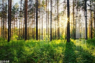 File gốc File gốc in tranh tổng hợp Q2508 (thiết kế) độc quyền