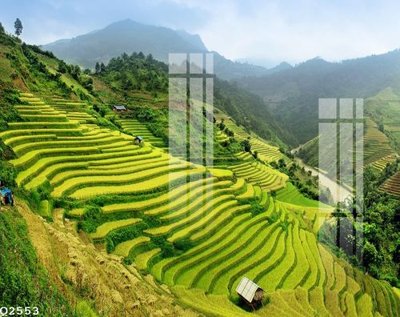 File tranh File gốc in tranh tổng hợp Q2553 (bản gốc) treo tường