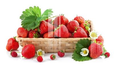 File tranh File gốc in tranh tổng hợp Q2603 (gốc) in film